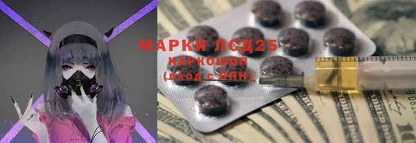 ГАЛЛЮЦИНОГЕННЫЕ ГРИБЫ Тутаев